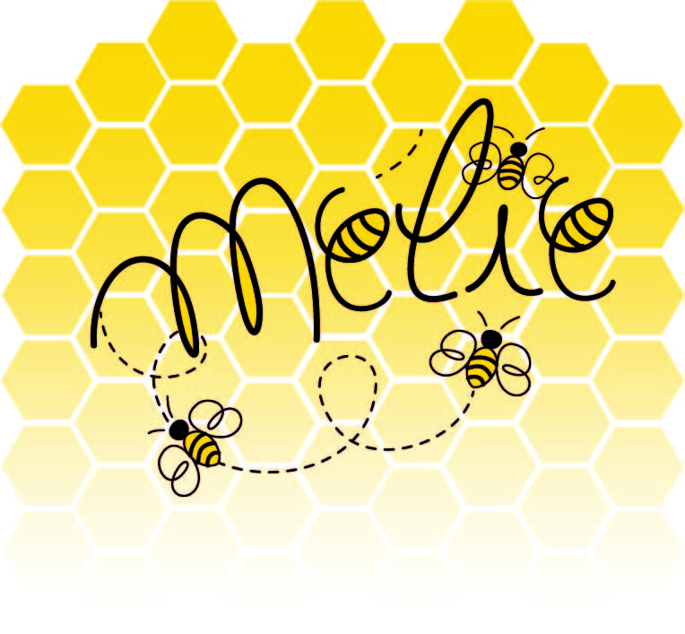 Mélie la petite abeille, spectacle théâtre de la louve, avril 2024
