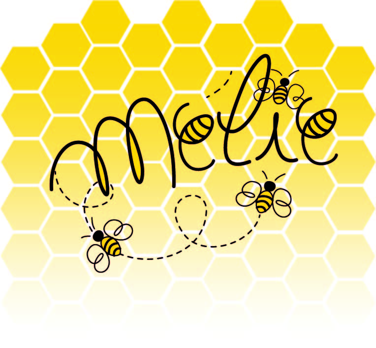 Mélie le petite abeille